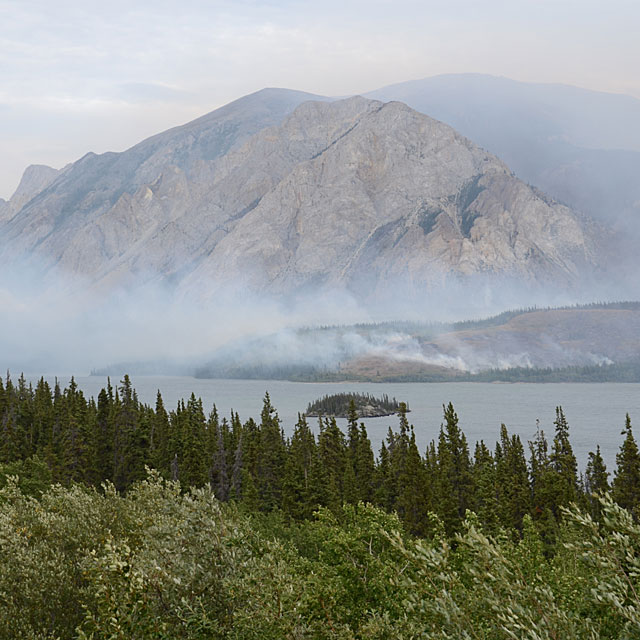 Zurück nach Whitehorse