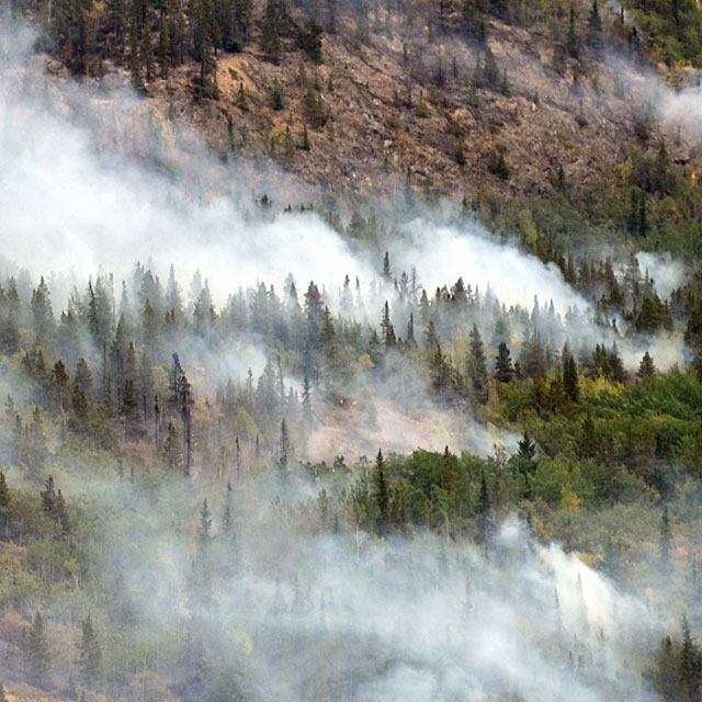 Zurück nach Whitehorse