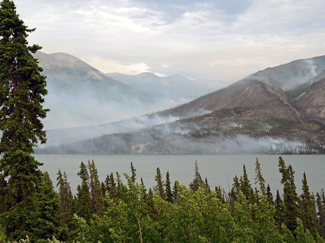 Tour von Haines in Alaska nach Whitehorse in Yukon Whitehorse in Yukon