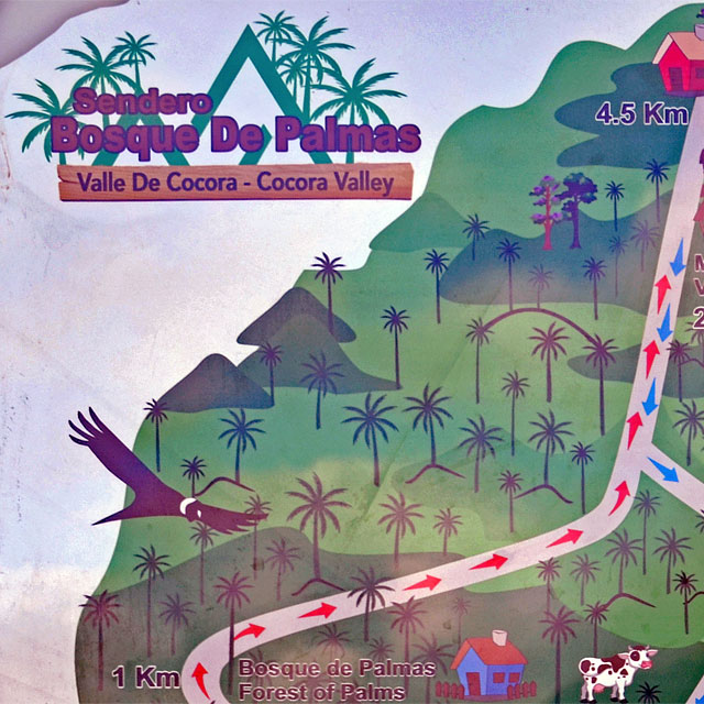 Valle de Cocora