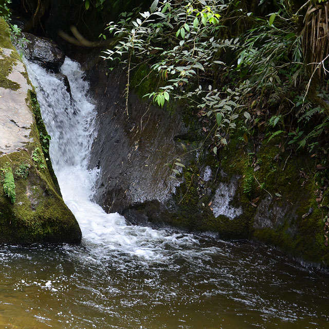 Valle de Cocora