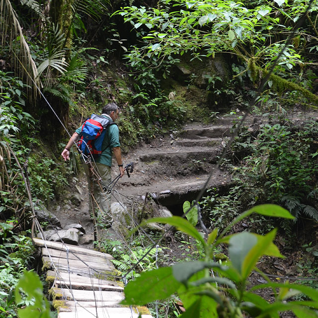 Valle de Cocora