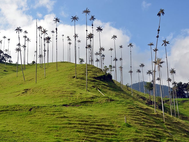 Unterwegs von Manizales nach Salento in Kolumbien Salento