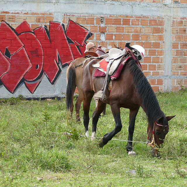 San Agustín