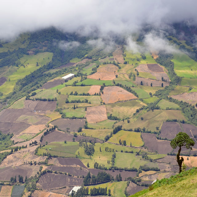 San Juan in Ecuador