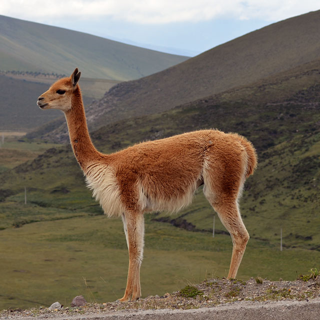 San Juan in Ecuador