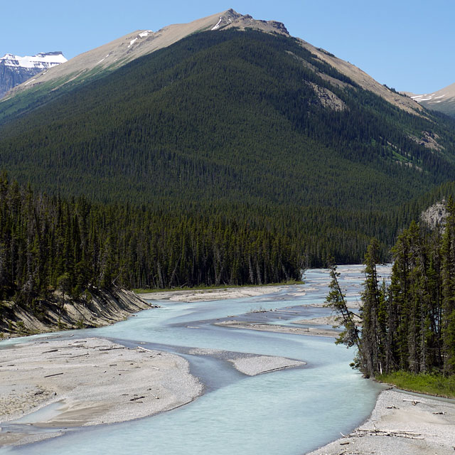 Sunwapta Falls im Jasper Nationalpark