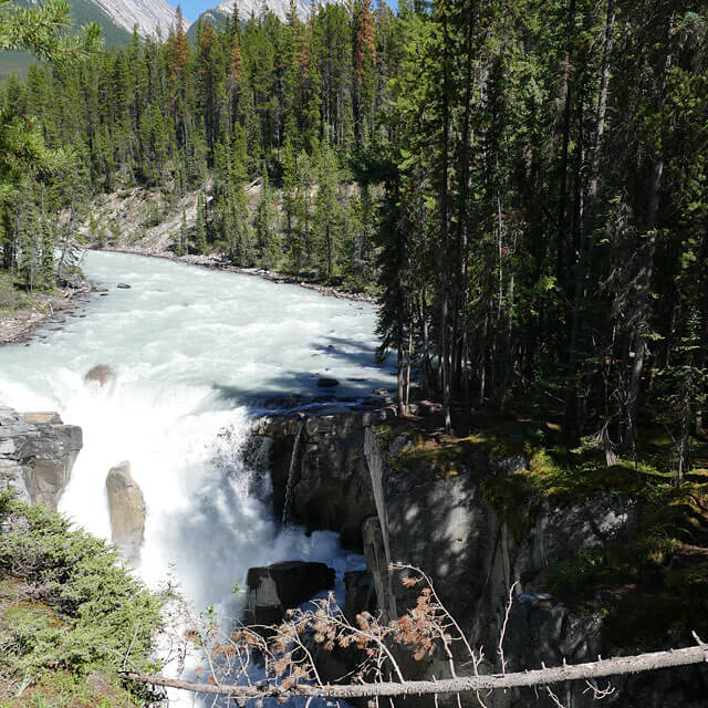 Sunwapta Falls im Jasper Nationalpark