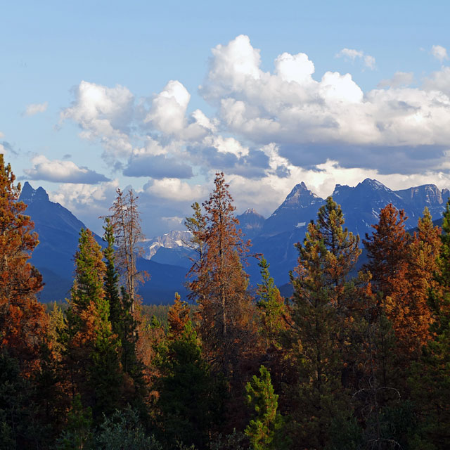 Jasper Nationalpark