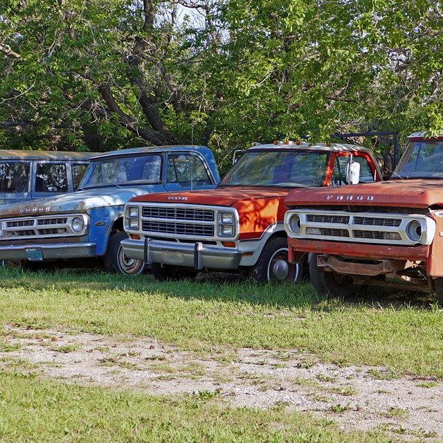 Campground in Indian Head