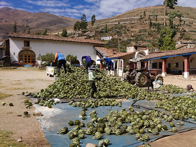 Tarma in Peru Tarma in Peru