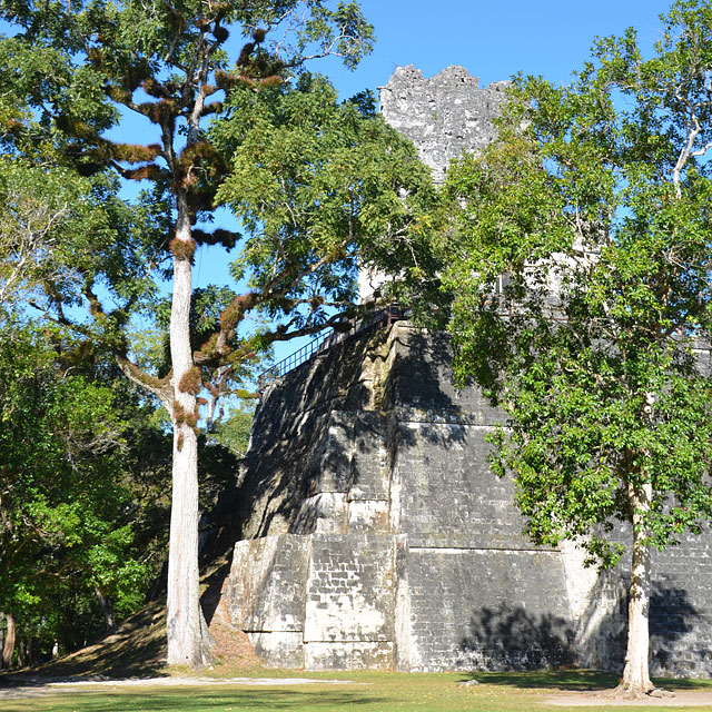 Tikal