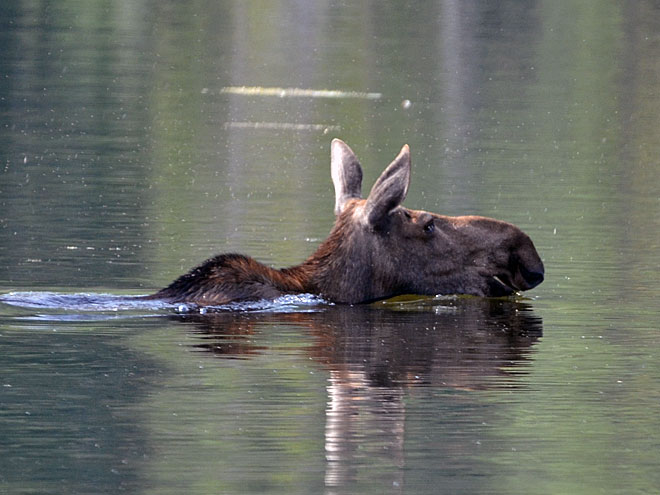 Tour von Pink Mountain nach Toad River im kanadischen British Columbia Toad River im kanadischen British Columbia