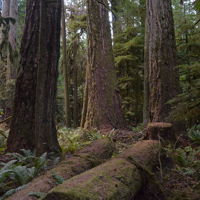 Nanaimo/BC