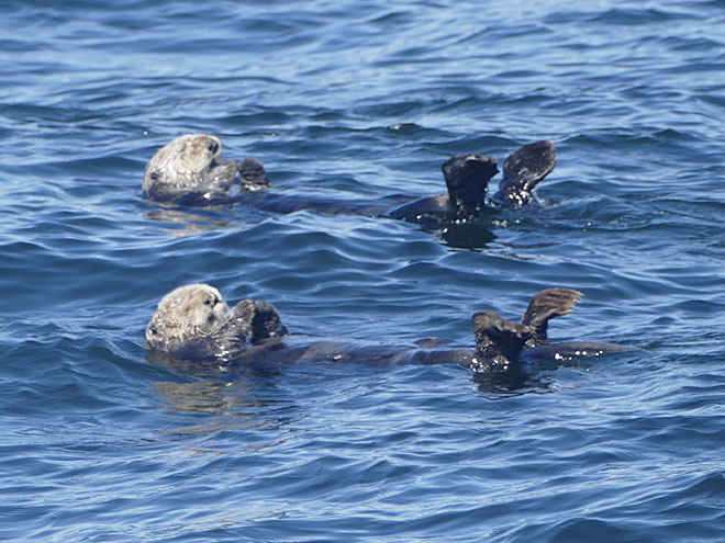 Tour von Nanaimo nach Tofino auf Vancouver Island Von Nanaimo nach Tofino auf Vancouver Island