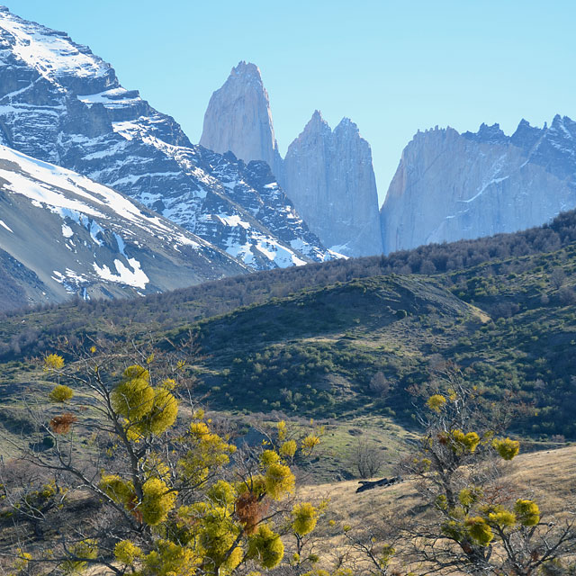 Torres del Paine