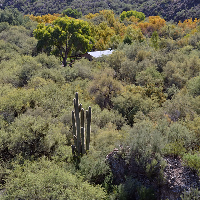 Tucson