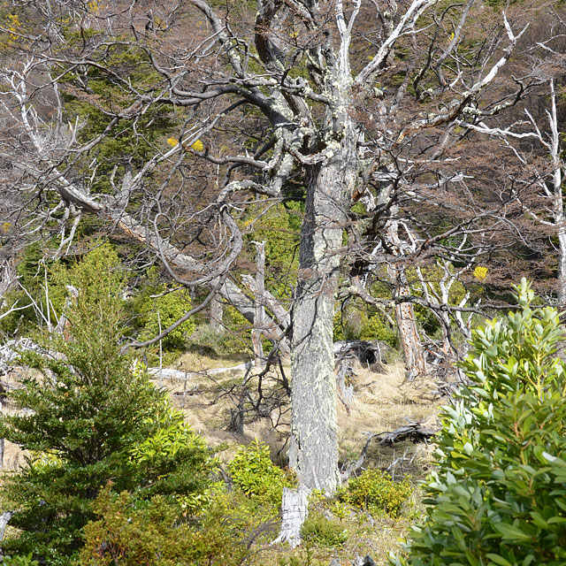 Ushuaia, Feuerland