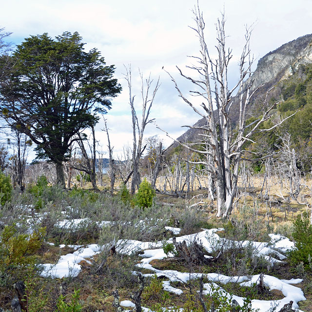 Ushuaia, Feuerland