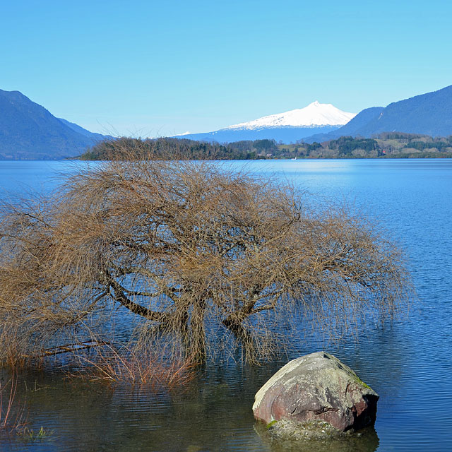 Valdivia