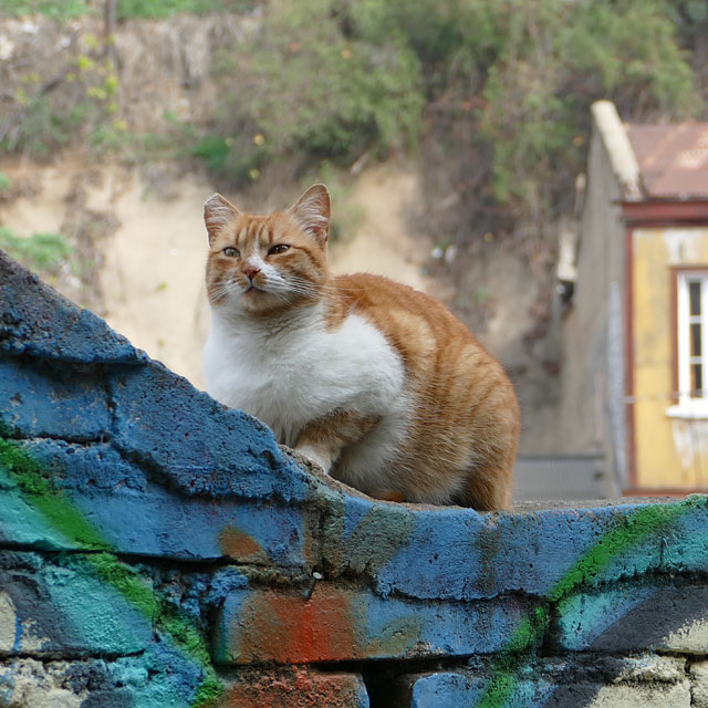 Valparaiso