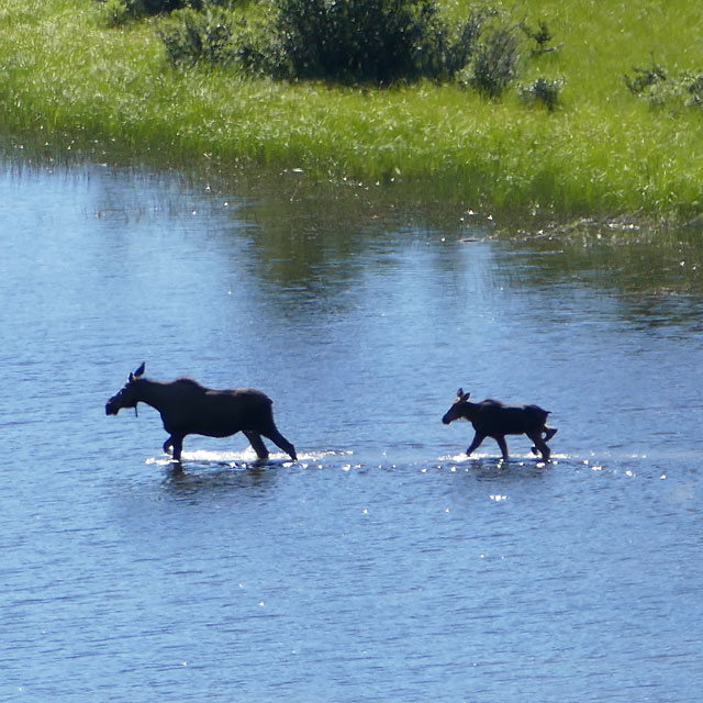 Unterwegs in Yukon