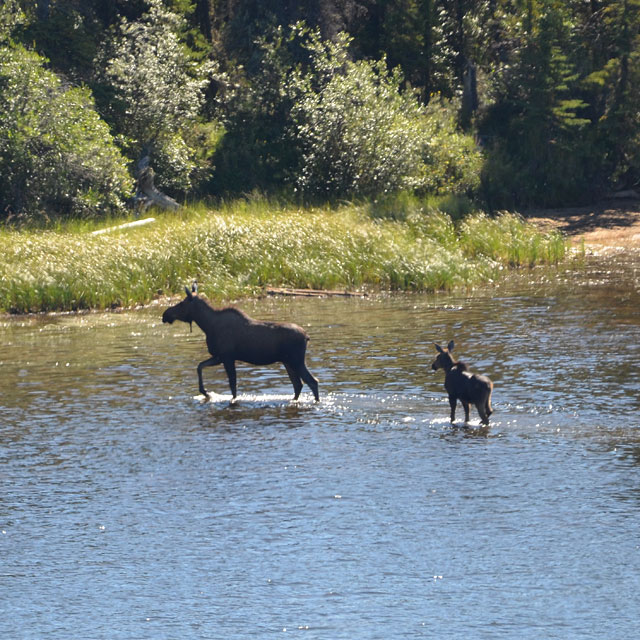 Unterwegs in Yukon