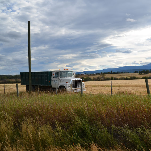 Williams Lake/BC