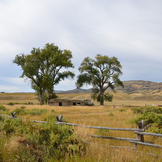 Yellowstone