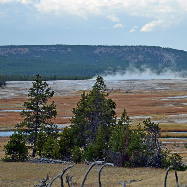 Yellowstone