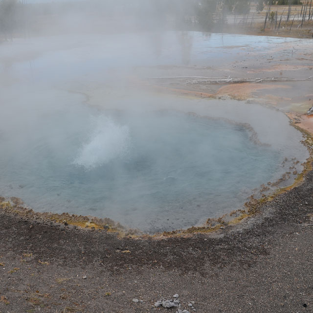 Yellowstone