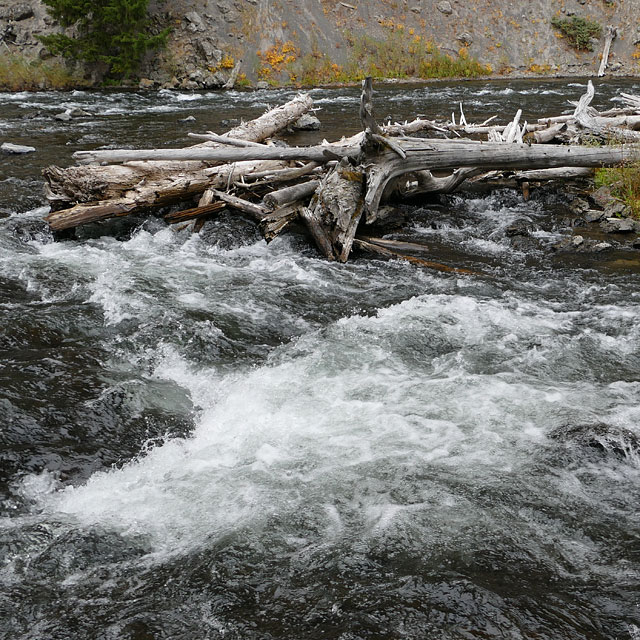 Yellowstone