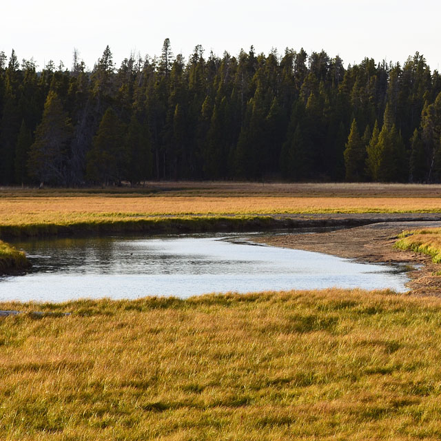 Yellowstone