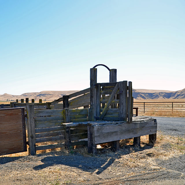 Von San Francisco nach Groveland in Kalifornien