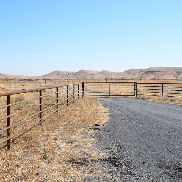 Von San Francisco nach Groveland in Kalifornien