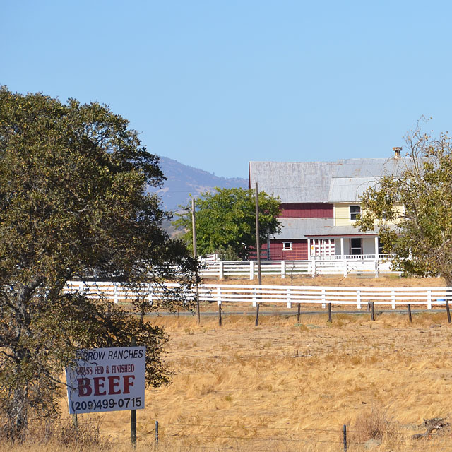 Von San Francisco nach Groveland in Kalifornien