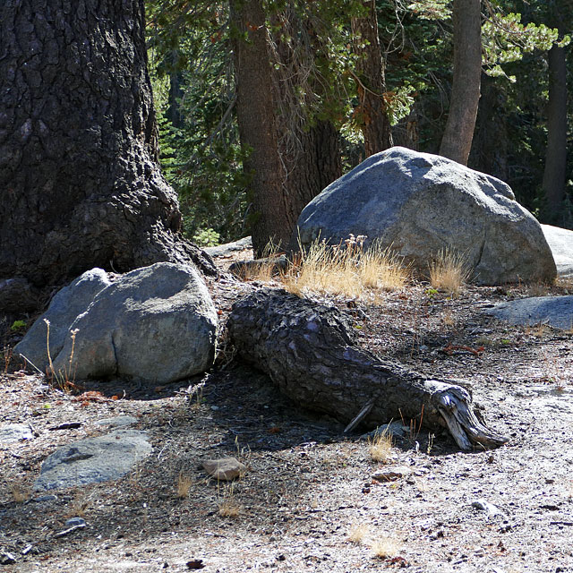 Yosemite