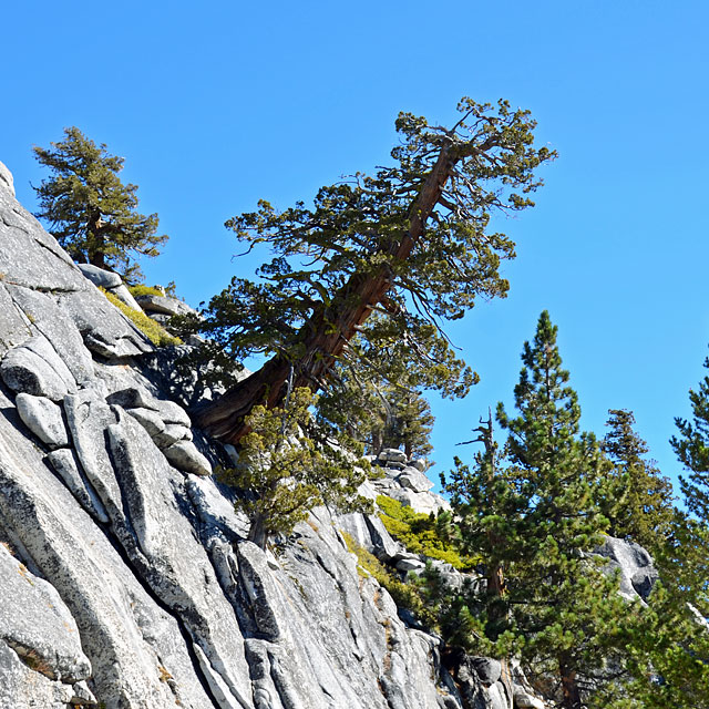 Yosemite