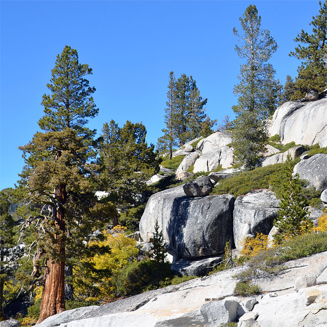 Yosemite