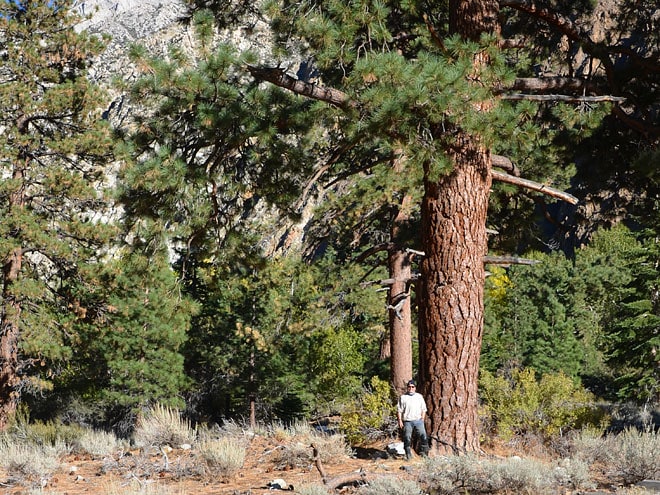 Unterwegs im Yosemite Nationapark in Kalifornien Mono Lake · Yosemite Nationalpark