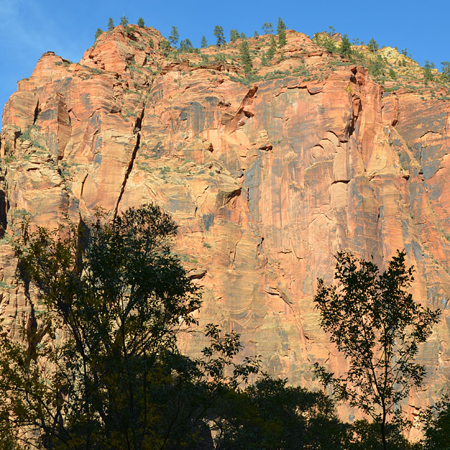 Zion Nationalpark