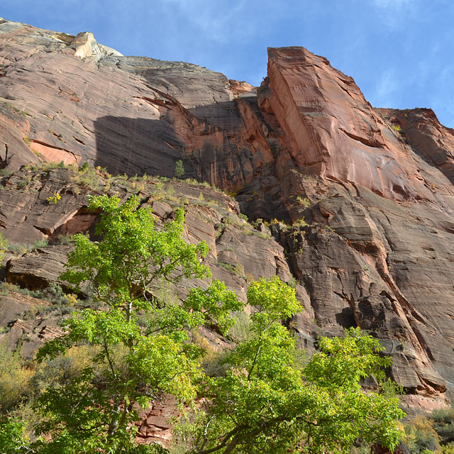 Zion Nationalpark