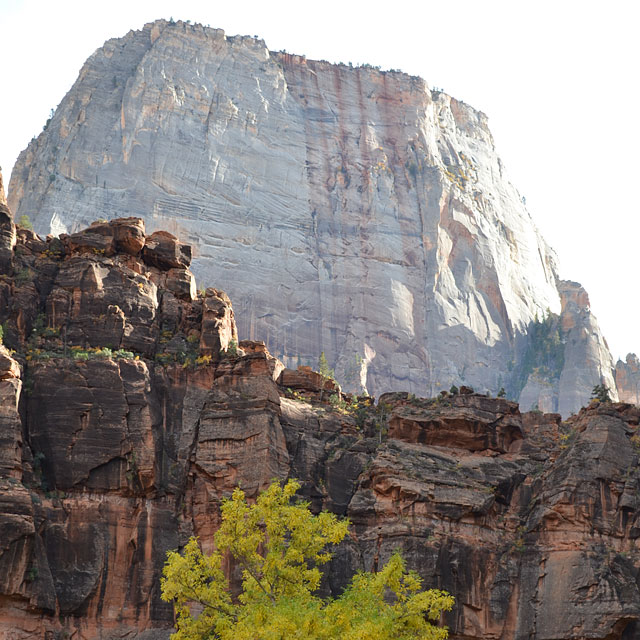 Zion Nationalpark