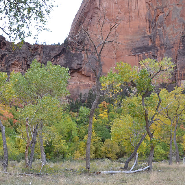 Zion Nationalpark