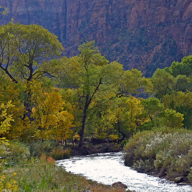 Zion Nationalpark