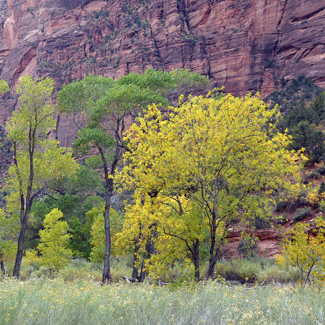 Zion Nationalpark