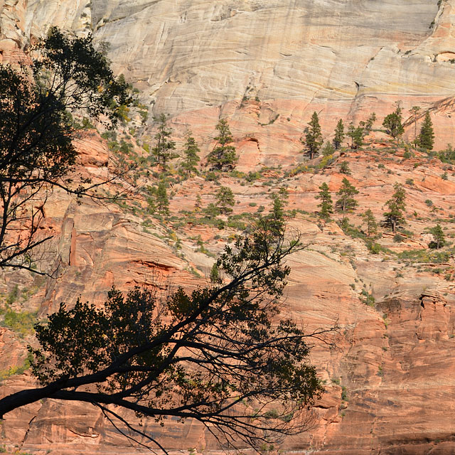 Zion Nationalpark